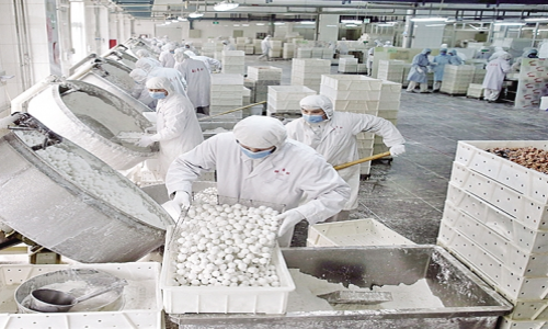 云南臨滄容天下食品廠低露點轉輪除濕機 - 副本.jpg